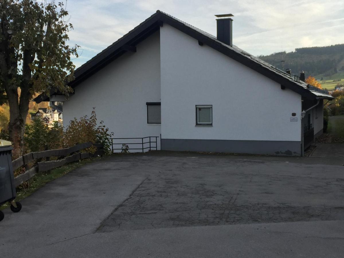 Ferienwohnungen Lang Willingen  Kültér fotó